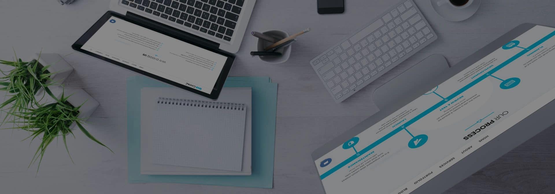 Web Development